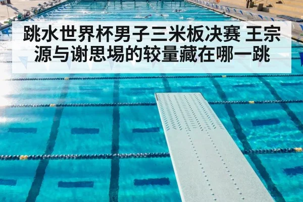 跳水世界杯男子三米板决赛 王宗源与谢思埸的较量藏在哪一跳